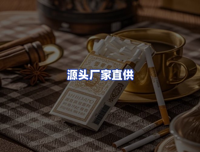 专业团队